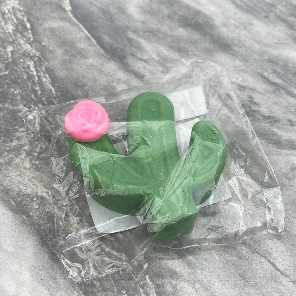 Small Batch Cactus soap